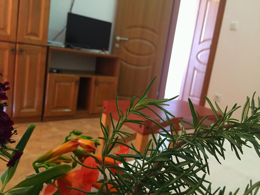 דירות אולסינץ' Friendly House מראה חיצוני תמונה